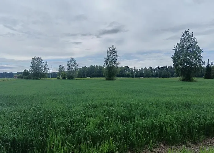 Pielinen 公寓 列克萨